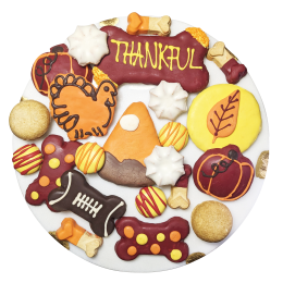 Thankful Themed Dog Treats Gift Box